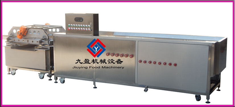广州九盈中央厨房切配生产线供应优质服务