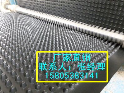 南京HDPE排水板3.0cm排水板%车库排水板