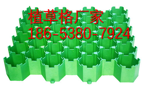 宁波塑料植草格