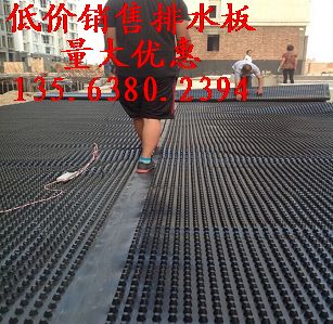 供应HDPE排水板+屋顶种植阻根板-搞活动