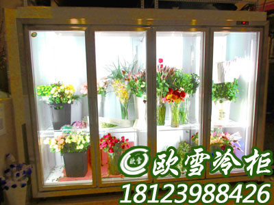 四川鲜花店用哪种的展示冷柜好 欧雪冷柜