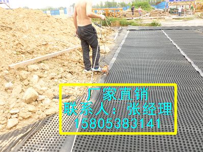 塑料排水板型号建筑排水板北京厂家直销