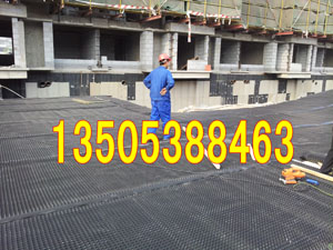 冀州阜城3公分车库顶板聚乙烯排水板/沥水板销售