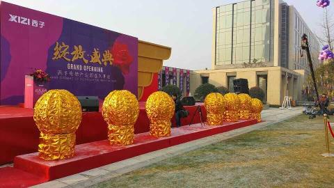 深圳广州庆典仪式启动开花金球道具可放飞气球莲花道具