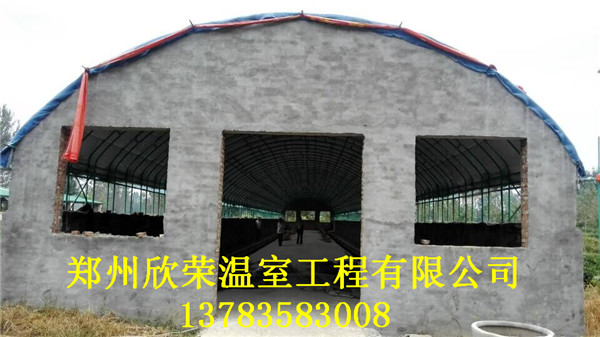 肉鸡养殖大棚建造团队滁州大棚配件供应商