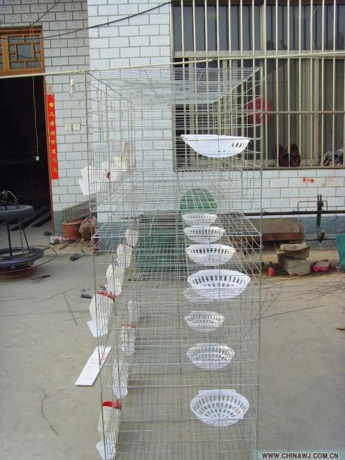 买鸽子笼找佳久   鸽子养殖户批发多层鸽子笼