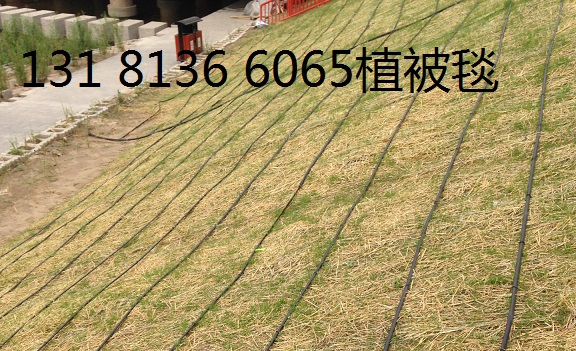 内蒙古稻草毯 植物纤维毯 生态毯 麻椰固土毯 抗冲生物毯