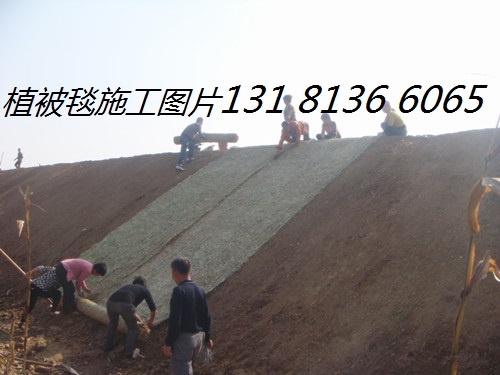 宁波植物纤维毯边坡绿化,衢州边坡防护生态植被毯