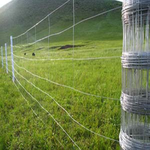 供西藏草原网和拉萨草原网哪家好