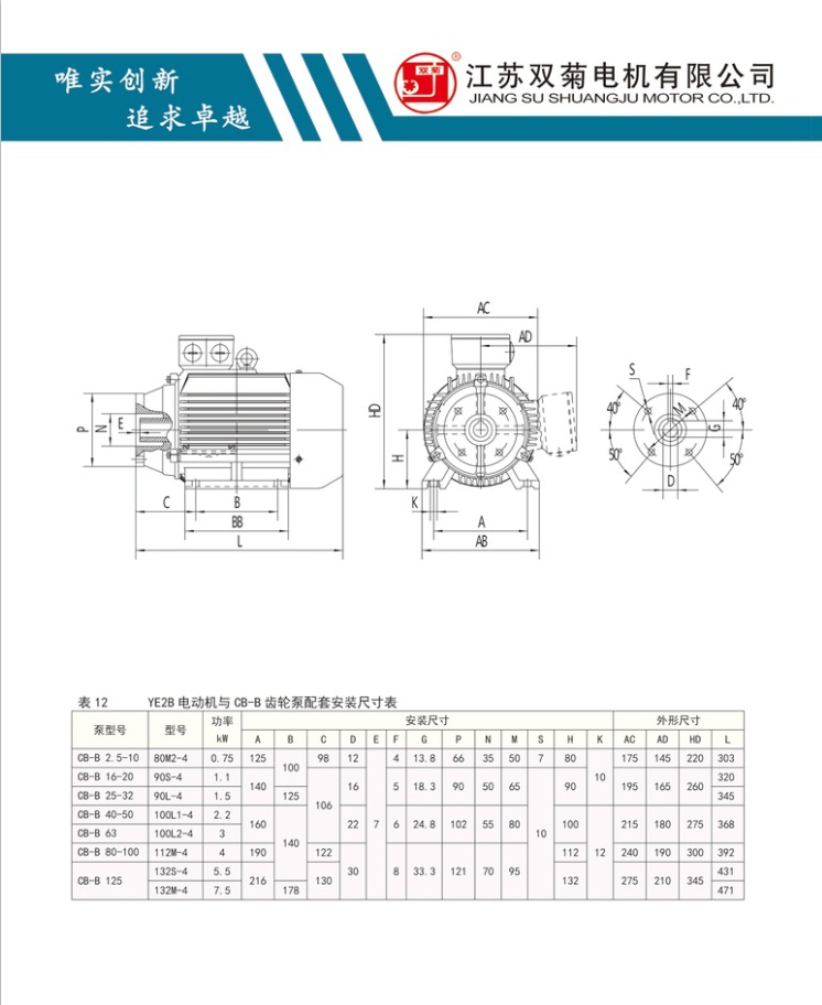 配上海高压油泵厂立式CB-B齿轮泵配套电机