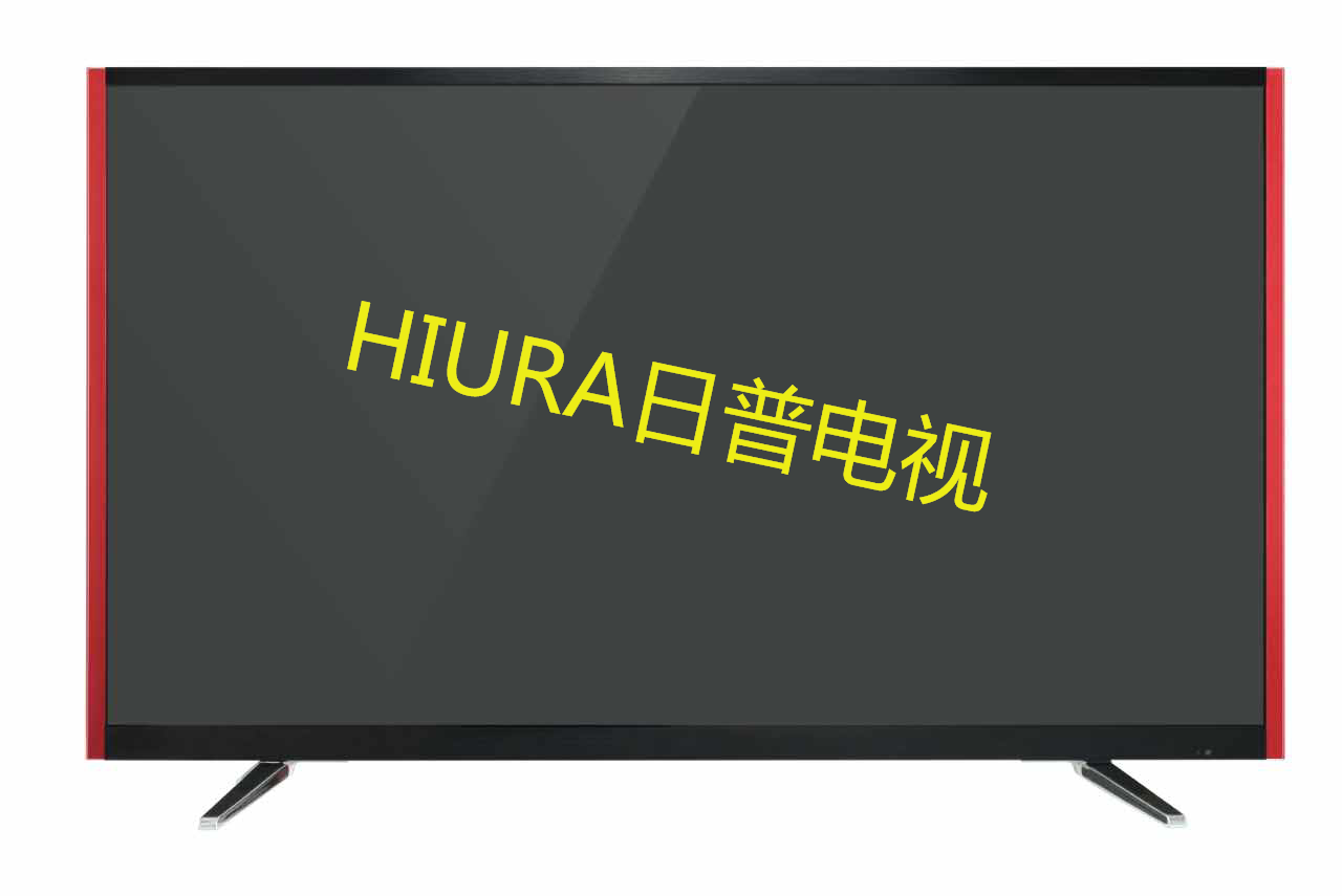 广州日普LED电视