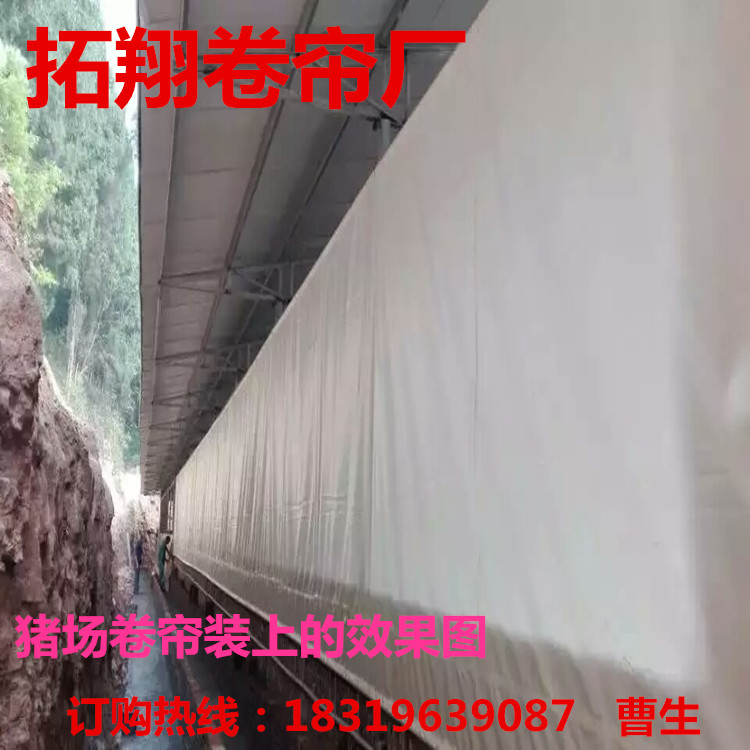 供应浙江杭州猪场油布卷帘、猪场油布窗帘、防水卷帘批发,透光、保温、耐老化