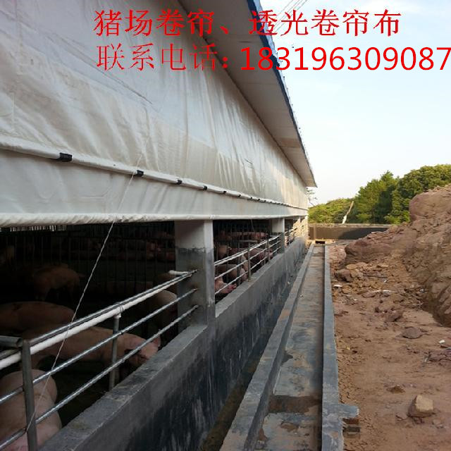 供应南京大型畜牧场卷帘布、透光猪场卷帘、保暖养殖场卷帘批发