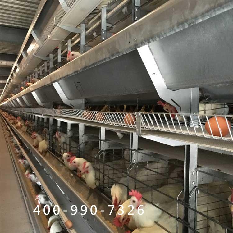 蛋鸡笼子 养殖场用_大佳长期生产供应优质鸡笼