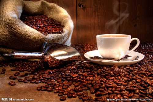 上海咖啡豆批发商