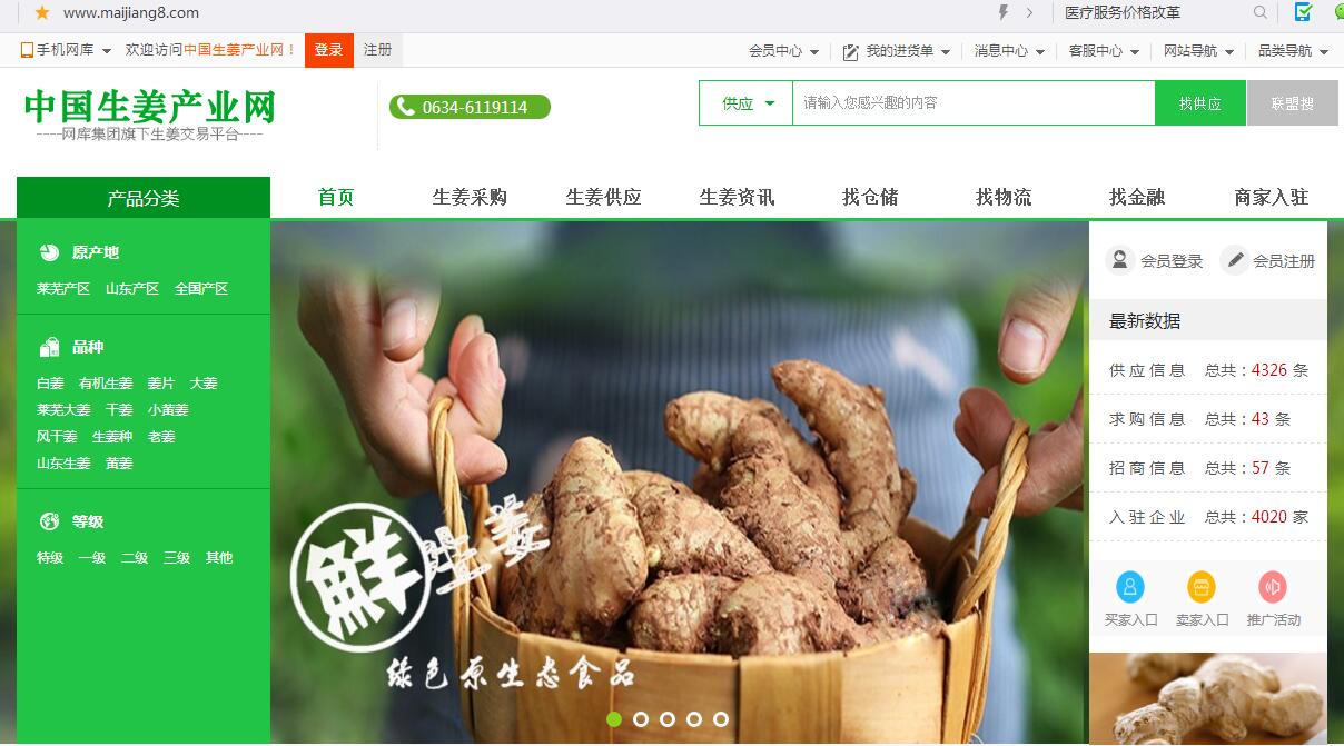 中国生姜产业网-生姜进货平台