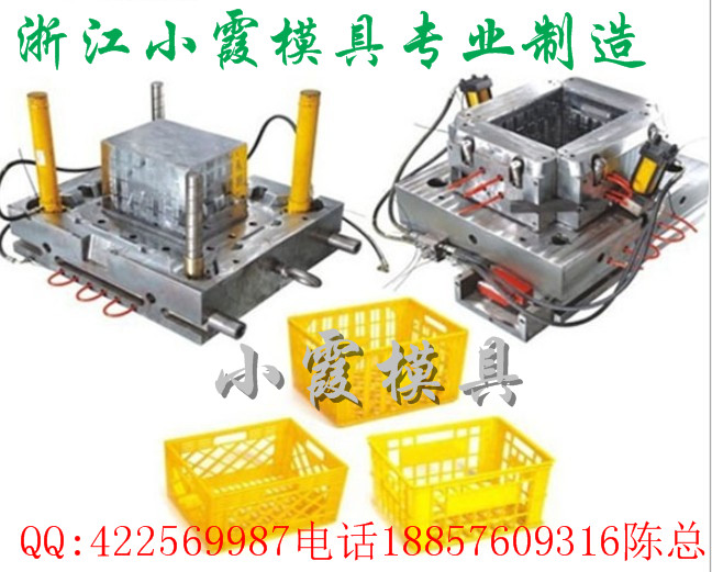 中国胶筐模具丨奇异果箱子模具 , 一次性火龙果箱子模具工厂