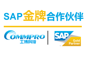 深圳SAP公司 深圳SAP实施代理商