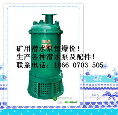 隔爆排污泵,潜水泵BQS泵配件生产配件 泵配件