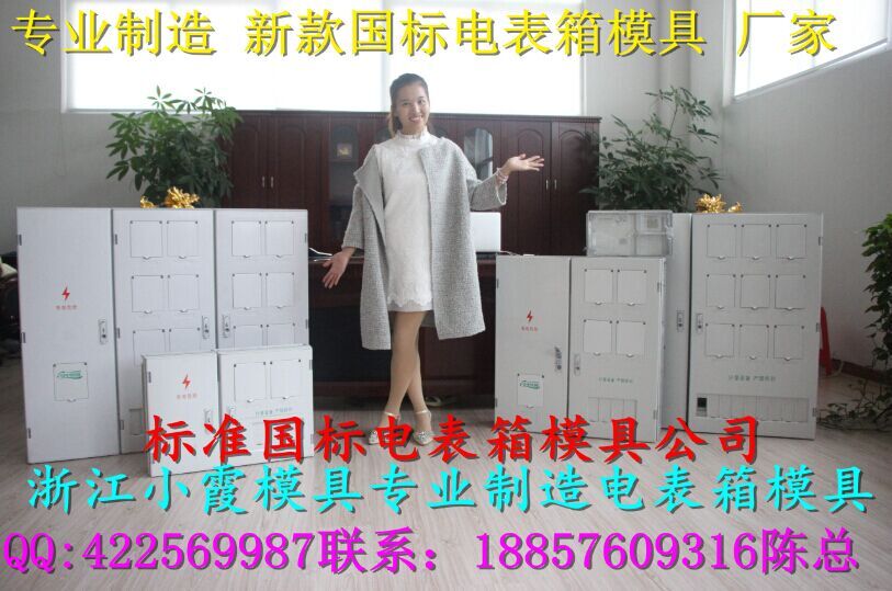中国塑料单相一电表箱模具厂家地址