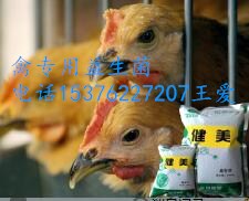 益生菌厂家微尔生物增重降料肉比的禽专用益生菌