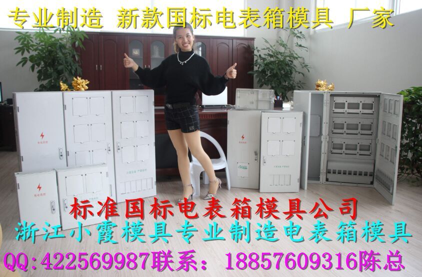 浙江塑料模公司 三相6表电表箱模具,PC注射2表电表箱模具/ABS注射2表电表箱模具生产