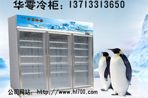 惠州冷藏柜展示柜冷冻柜冰柜价格