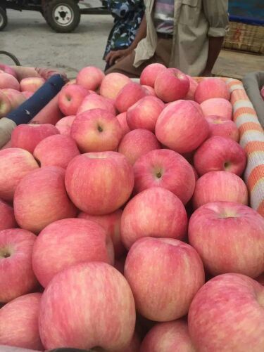 金帅苹果供应出售脆甜易运输的纸膜袋红星苹果