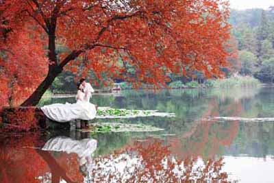 杭州圣摄影秋天哪里拍婚纱照外景西湖外景婚纱照哪里