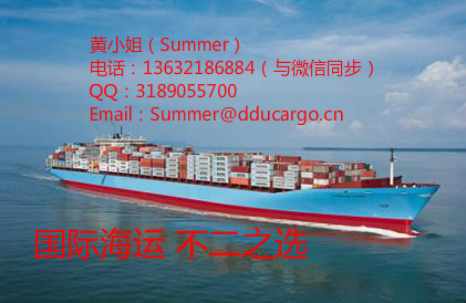 专业海运集装箱海运、新加坡海运拼箱/整柜