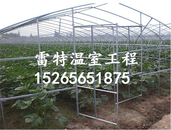 青州雷特蔬菜大棚公司 蔬菜温室大棚厂家 质量优