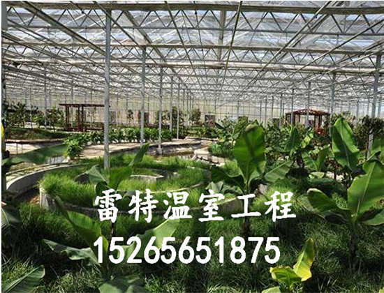 专业生产花卉温室大棚 价格低 质量好雷特温室工程