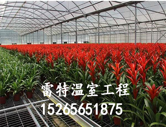  雷特温室工程专业从事花卉温室建设 价格优惠 质量保证