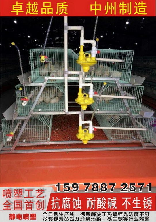 国外环保鸡笼 喂料机 拾蛋机 养鸡设备 捡蛋机