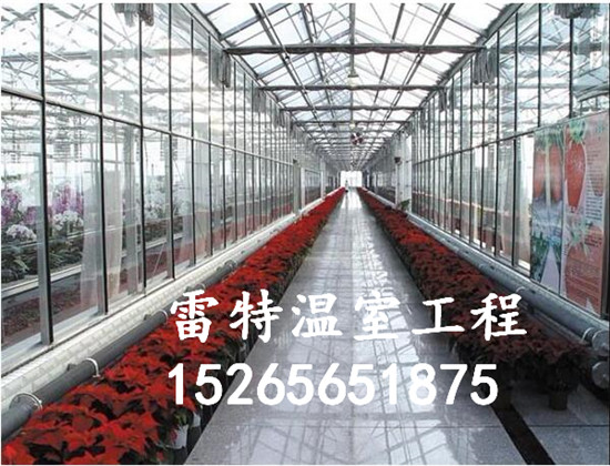 定制阳光板大棚 阳光板花卉大棚 优质产品质量有保证