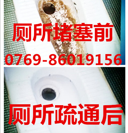 东莞镇区抽粪86019156专业清理化粪池 工厂化粪池清理多少钱