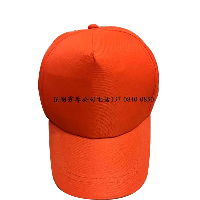 厂家供应直销各种广告帽,太阳帽,礼品帽可印字印logo