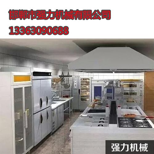 西安调味品设备品质商_调味品设备_邯郸强力机械(查看)