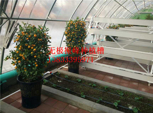 北京无土栽培种植槽价格