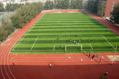厂家直销单丝加筋足球场人造草坪,直立性好,50mm--10500针密度