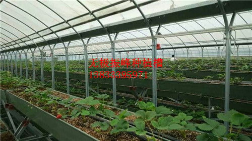 壁挂式草莓立体式种植槽价格