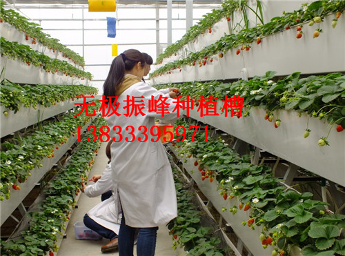 杭州瓜果蔬菜立体式种植槽价格