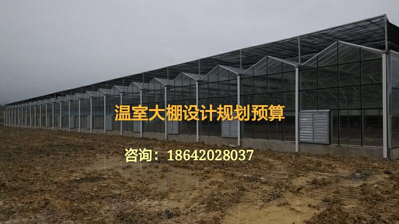 哈尔滨/黑龙江温室大棚建造/一道温室工程/哈尔滨/黑龙江/阳光板温室大棚