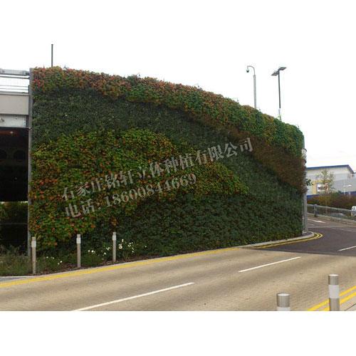 植物墙、铭秀立体、植物墙制作