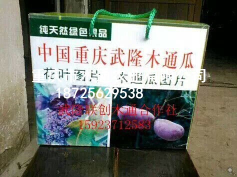 重庆武隆供应八月炸苗    。