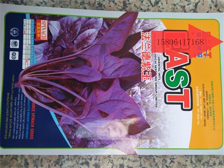 紫色菠菜种子 营养蔬菜之佳品