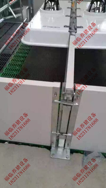 沧州欧式母猪产床供应耐酸碱抗老化欧式母猪产床厂家厂家直销