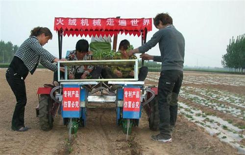 火绒插苗机(多图),烟草移栽机,移栽机