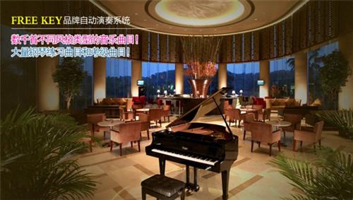 自动钢琴、白云区钢琴自动演奏系统、广州雅迪科技(图)