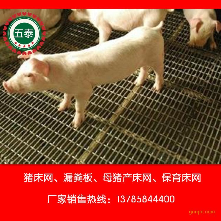 养猪钢丝网|广西养猪钢丝网|养猪钢丝网厂家